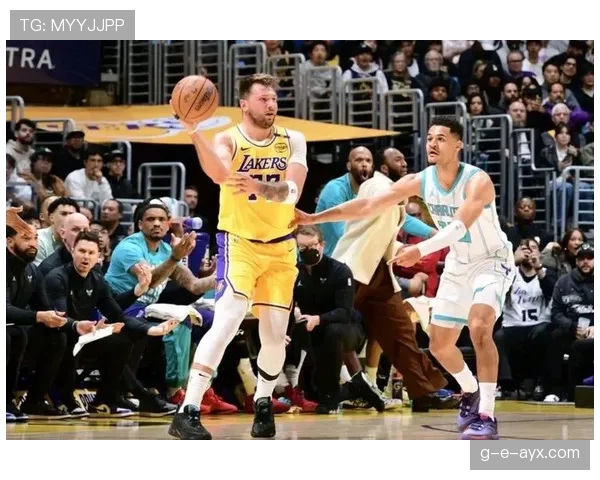 戴维斯展现强悍统治力，助湖人稳固季后赛席位