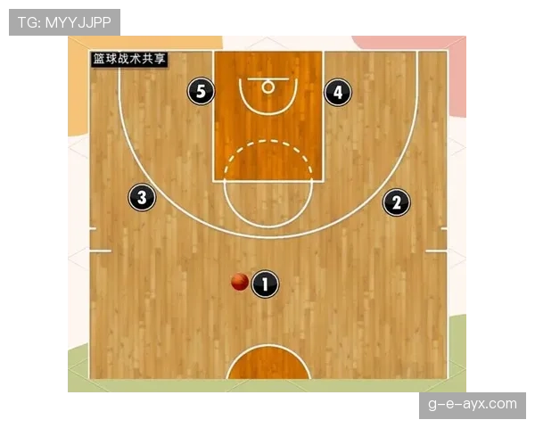 萨维奇防守站位解析：关键策略显著提升球队防守效率