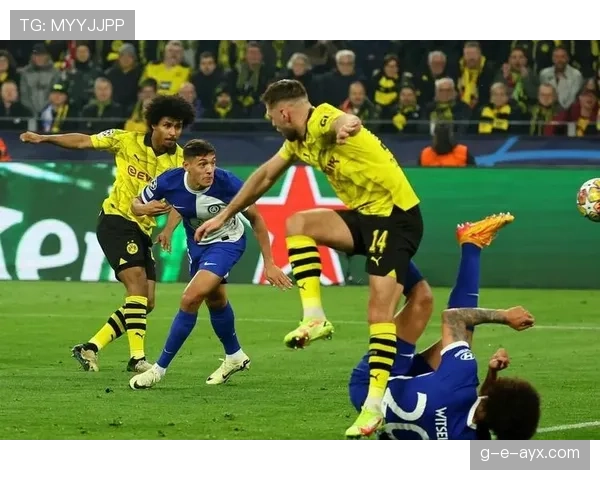 多特蒙德新星加盟助力球队实力稳步提升，新赛季备受期待